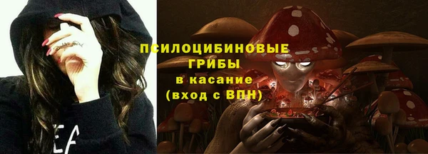 соль ск Алексеевка
