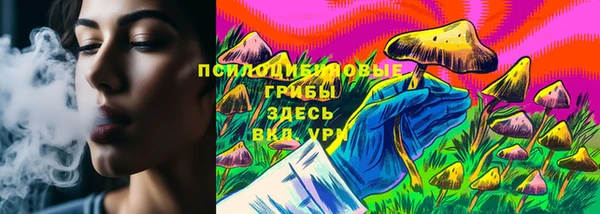 соль ск Алексеевка