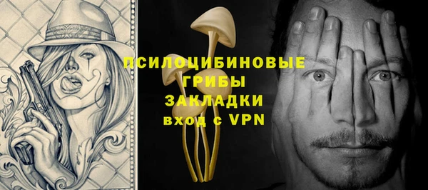 соль ск Алексеевка