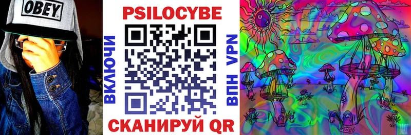 Купить закладки  Печора  Псилоцибиновые грибы мухоморы 